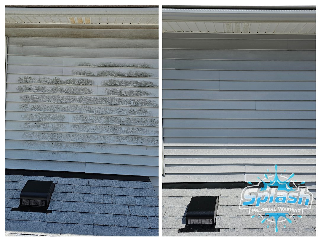 Professional Soft Washing in Chesapeake