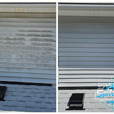 Professional-Soft-Washing-in-Chesapeake 0